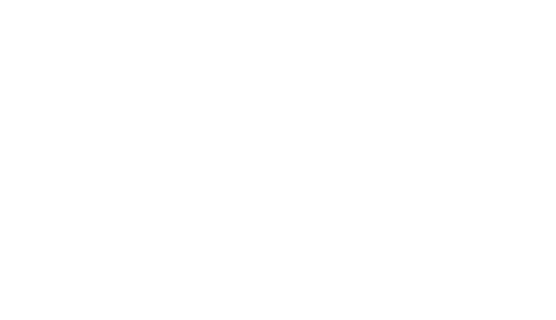 American Van logo