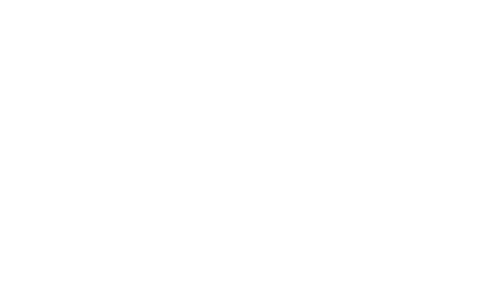 Bustin Logo footer