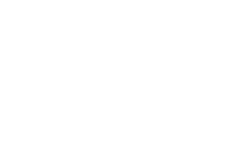 BRANDS_fleet-mind