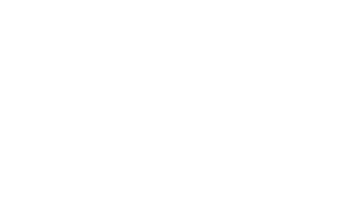 BRANDS_frc