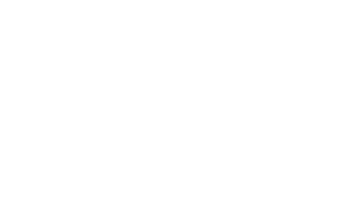 BRANDS_mobile-vision