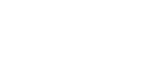 BRANDS_rom