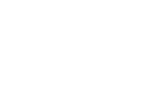 BRANDS_seon