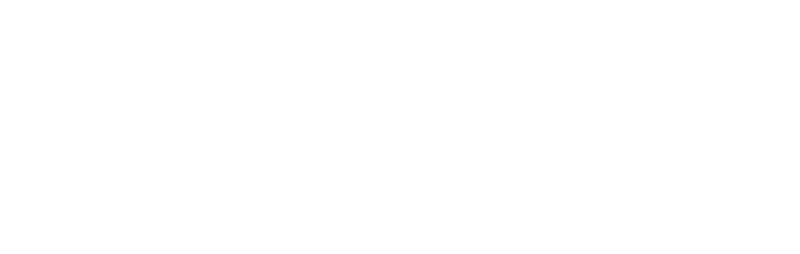 Safe Fleet logo - footer