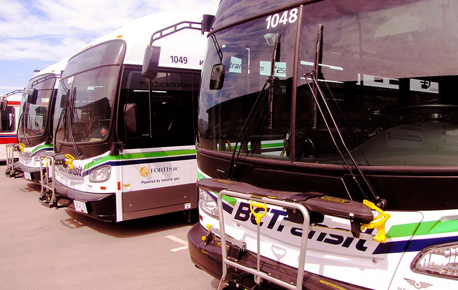 image-buses
