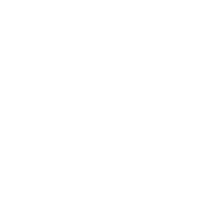 Transit Bus Icon
