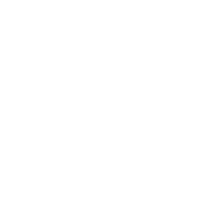 Transit Bus Icon