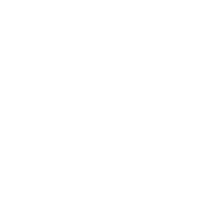 Work Truck icon