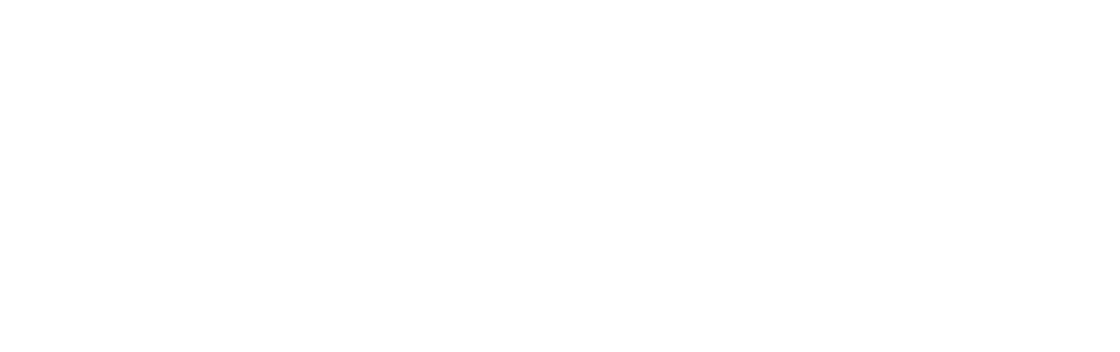 Safe-Fleet-Logo-WHITE