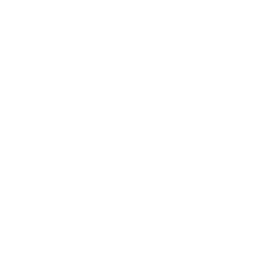 nexus-camera