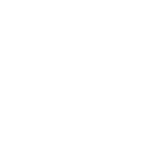 nexus-secure-file
